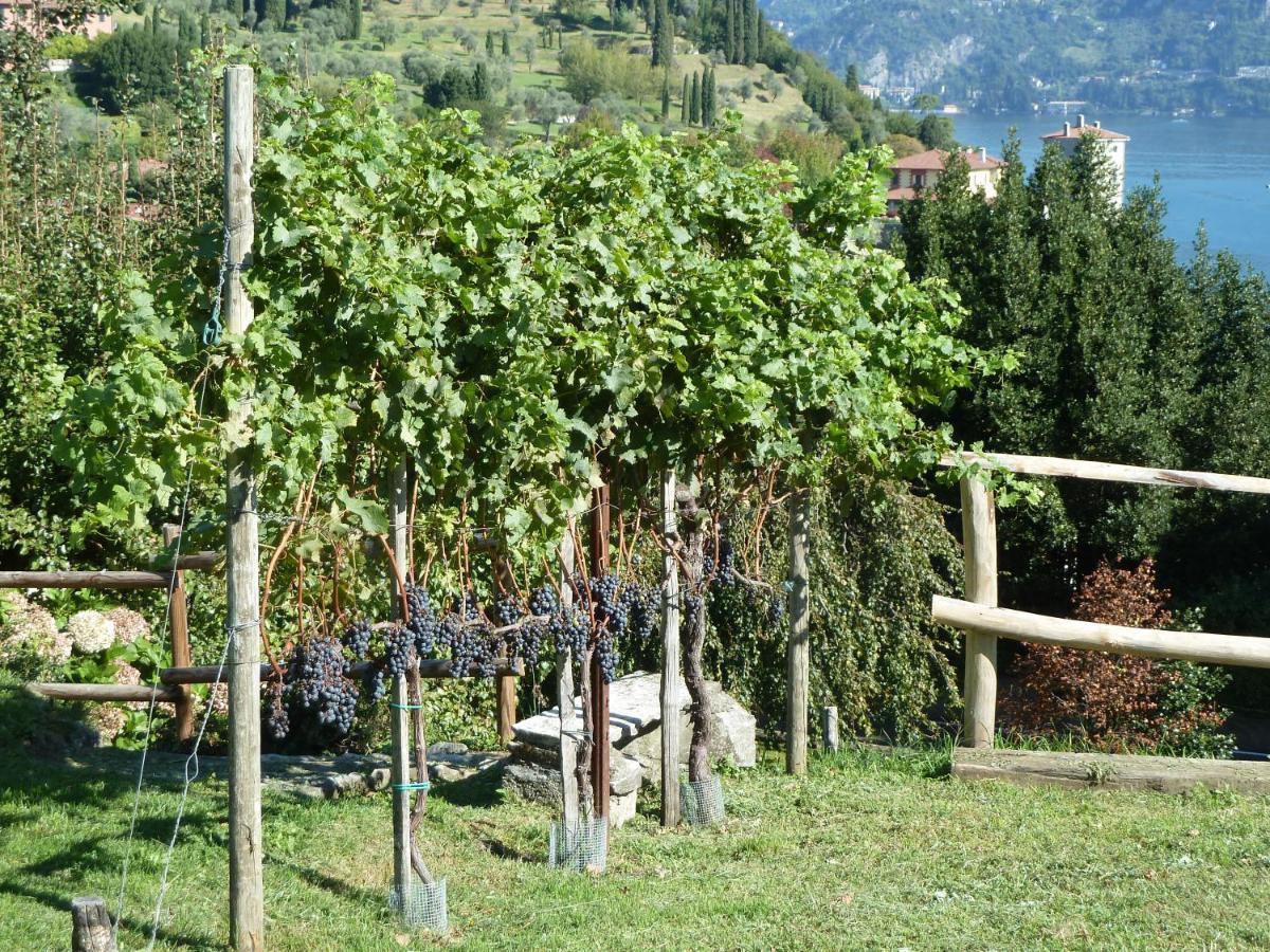 Bellagio Il Crotto Villa Kültér fotó