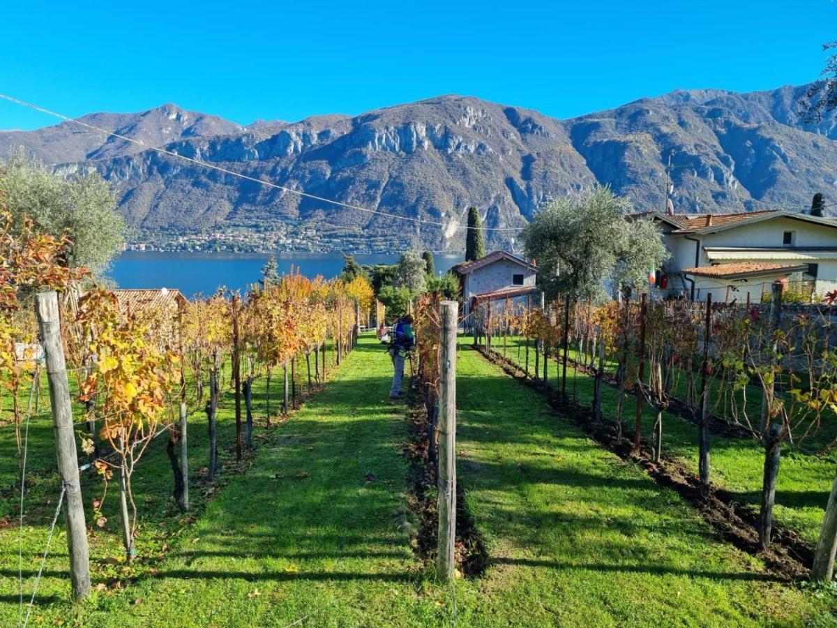 Bellagio Il Crotto Villa Kültér fotó