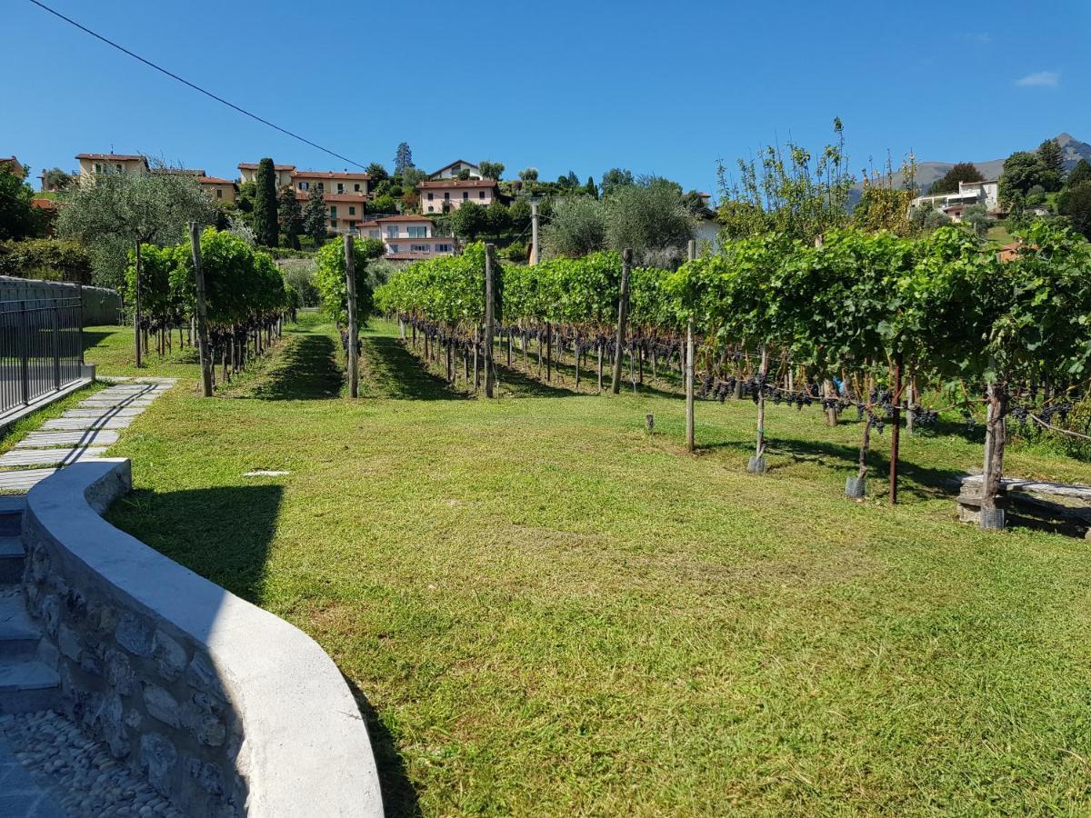 Bellagio Il Crotto Villa Kültér fotó