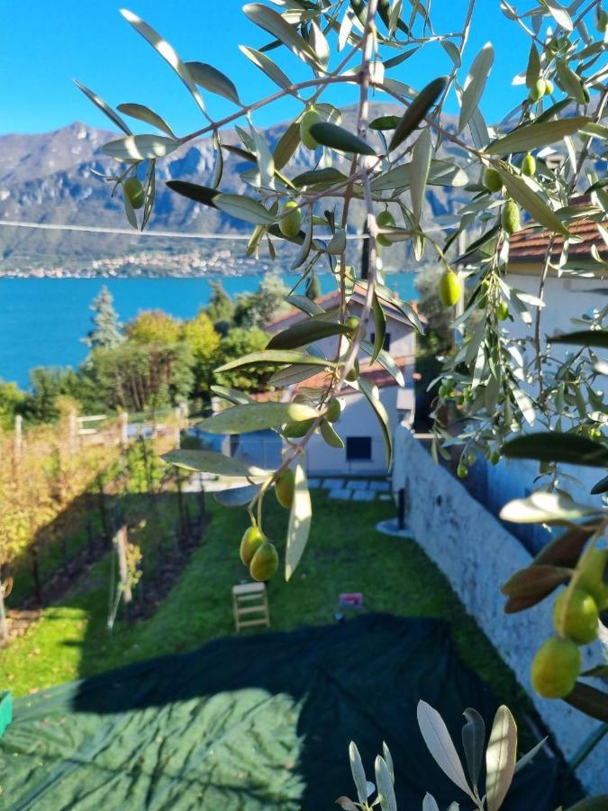 Bellagio Il Crotto Villa Kültér fotó